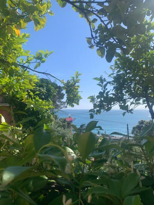 Cozy Beach House With Nice Garden, Basic Feel Apartment Bonassola Luaran gambar