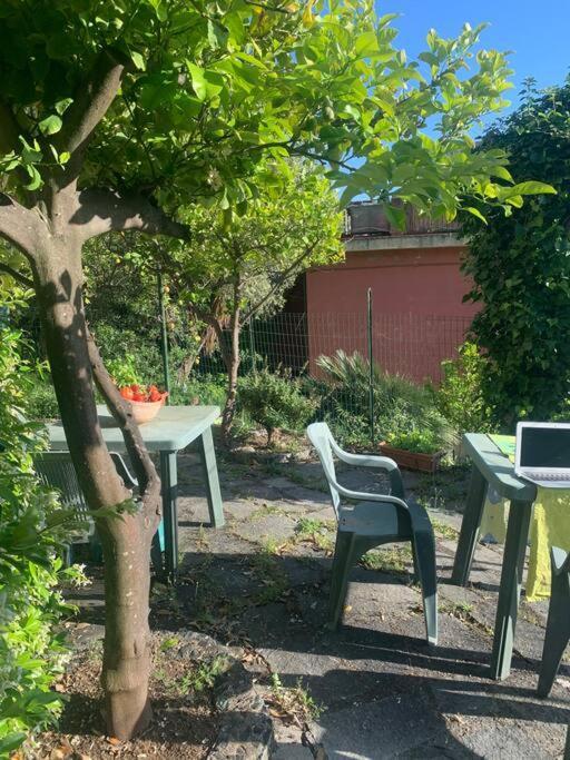 Cozy Beach House With Nice Garden, Basic Feel Apartment Bonassola Luaran gambar