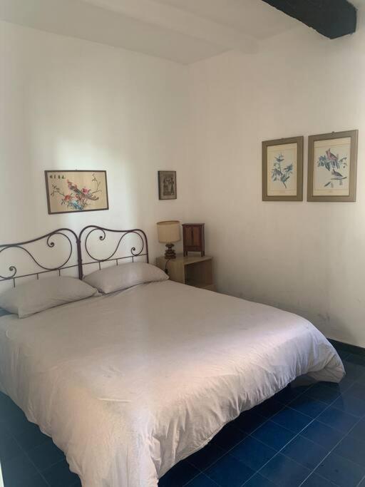 Cozy Beach House With Nice Garden, Basic Feel Apartment Bonassola Luaran gambar