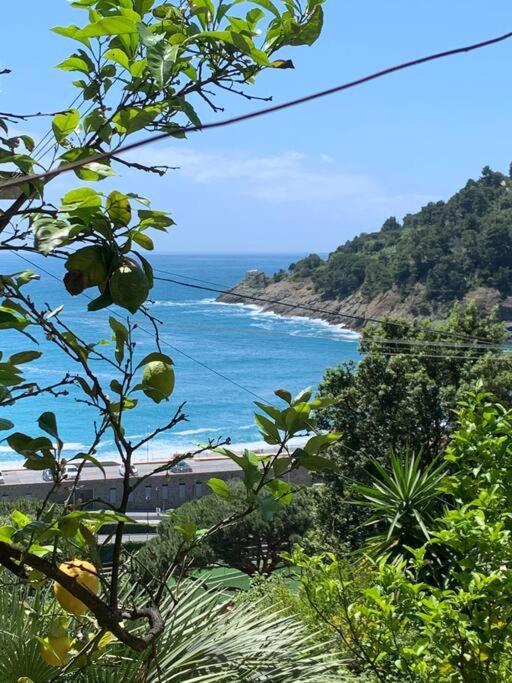 Cozy Beach House With Nice Garden, Basic Feel Apartment Bonassola Luaran gambar