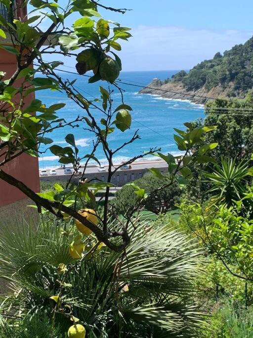 Cozy Beach House With Nice Garden, Basic Feel Apartment Bonassola Luaran gambar